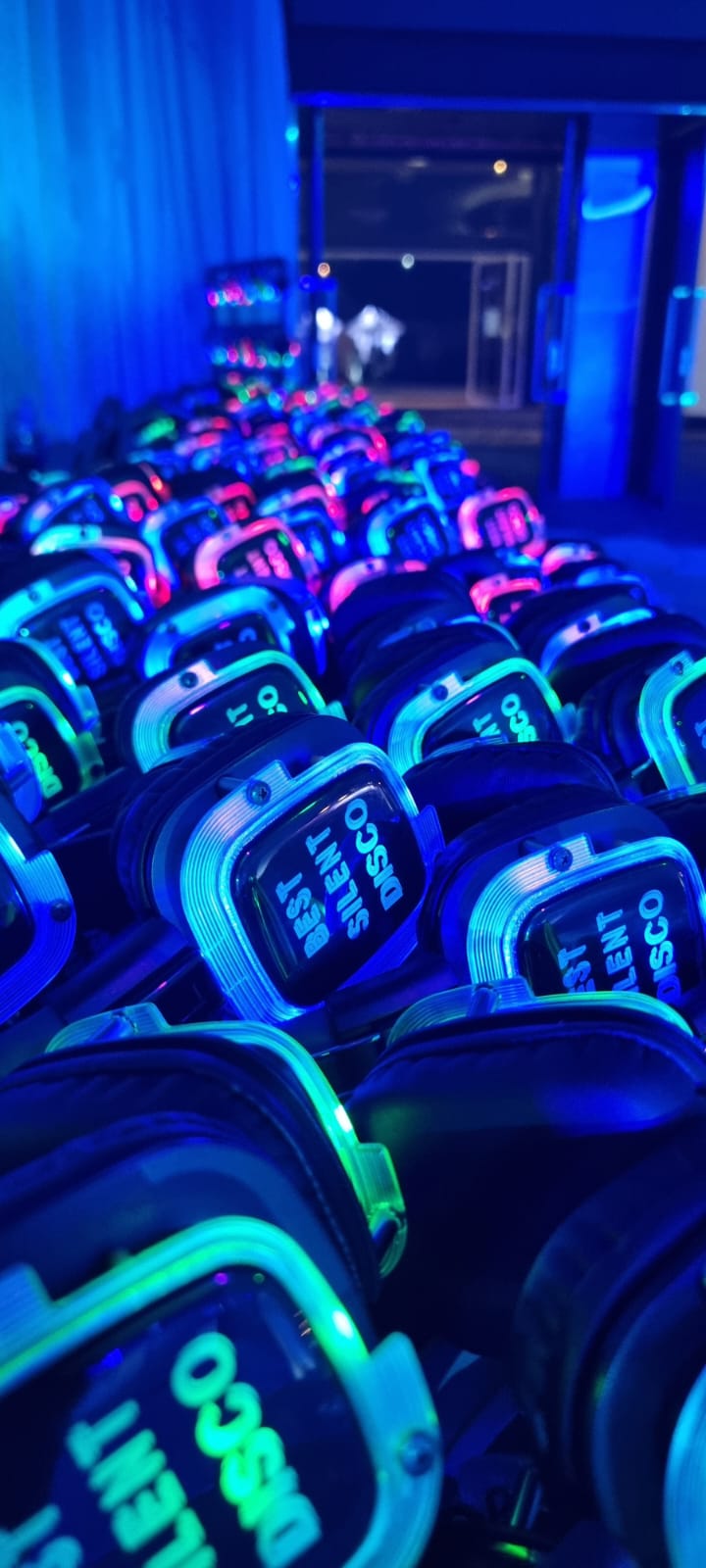 Silent Scavenger Hunt Paradise Point Parklands Best Silent Disco